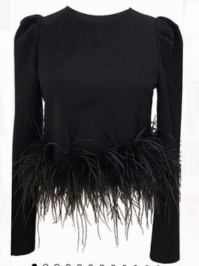 Glory Connection Lucas Feather Black Long Sleeve Cropped T-Shirt  NWT